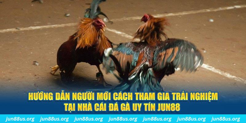 abc 8 loi game dot kich ket noi may chu that bai