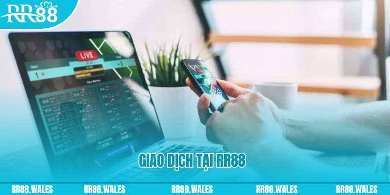 abc 8 gà chọi c1.com trực tiếp 888