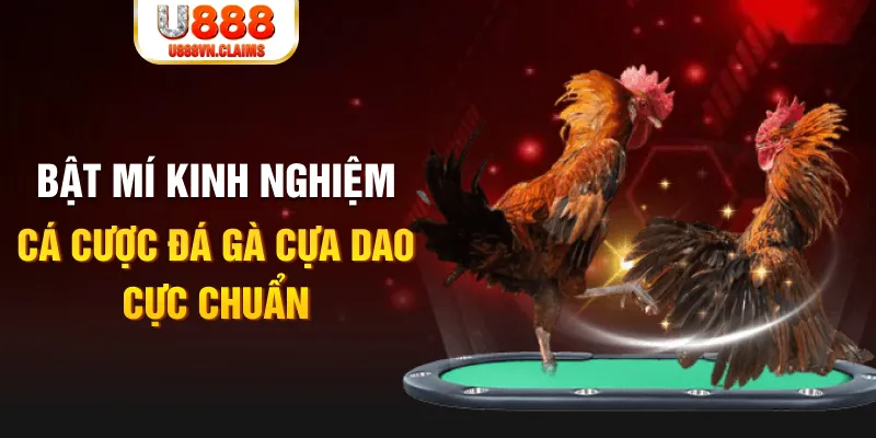 abc 8 xổ số miền nam xổ số miền nam
