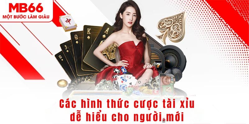 abc 8 DG Trực Tuyến