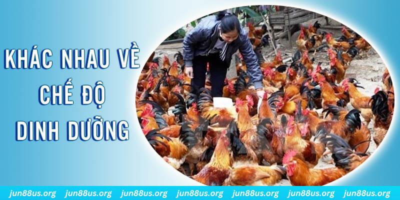 abc 8 xổ số miền nam thứ năm hàng tuần