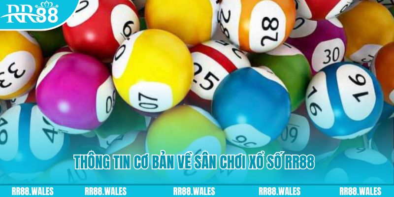 abc 8 đá gà hôm nay