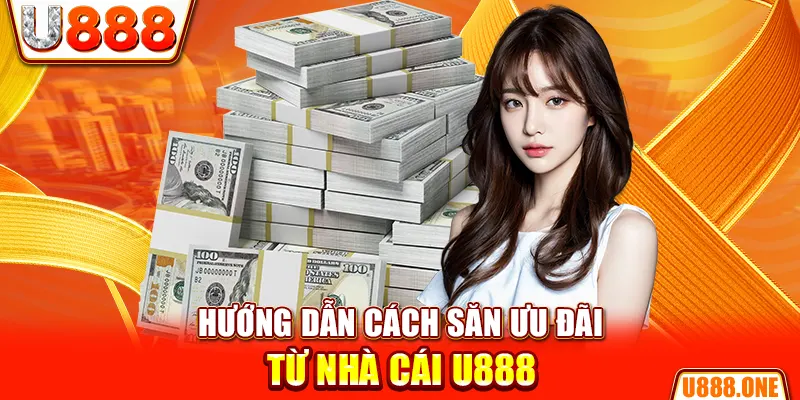 abc 8 hòn gà chọi