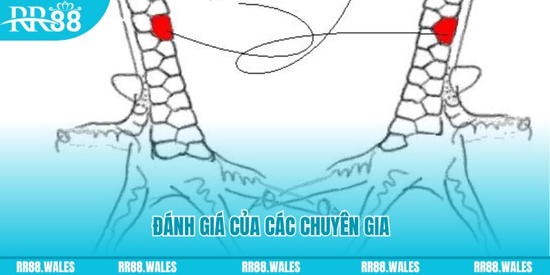 abc 8 V8 Game Bài 3d