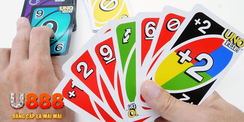 abc 8 gà chọi cu cần