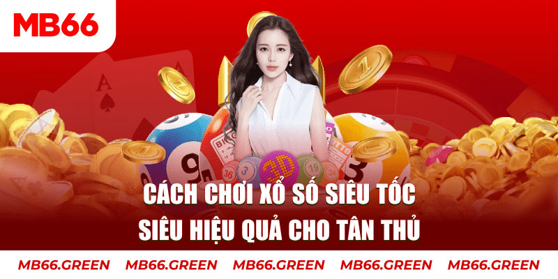 abc 8 trực tiếp đá gà c3 hôm nay