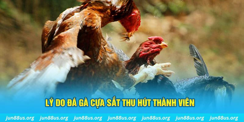 abc 8 chiếm slot là gì