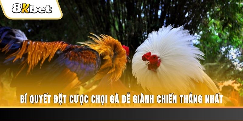 abc 8 xổ số thứ hai hàng tuần