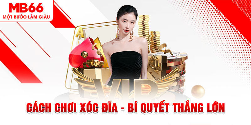 abc 8 trực tiếp đá gà c1 hôm nay