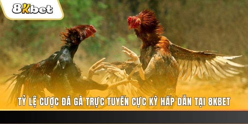 abc 8 baccarat online bịp như thế nào