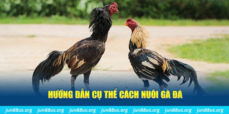 abc 8 đăng nhập sòng bạc số 1