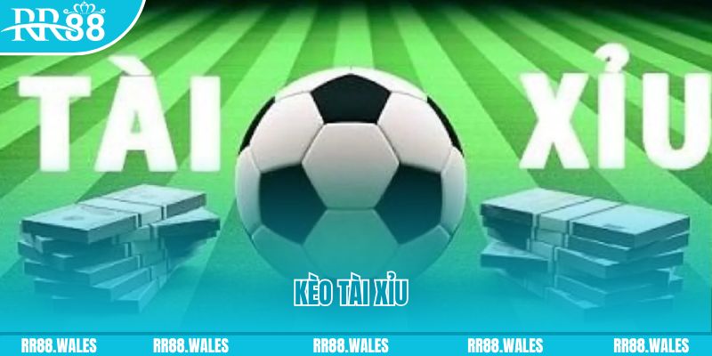 abc 8 gà chọi hoà phong